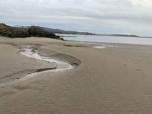 Footprints in the Sand: Cross–Bay Walk