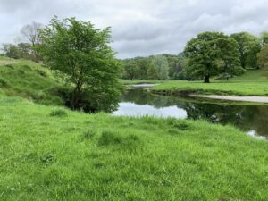 Explore the Beauty of Levens Hall Deer Park