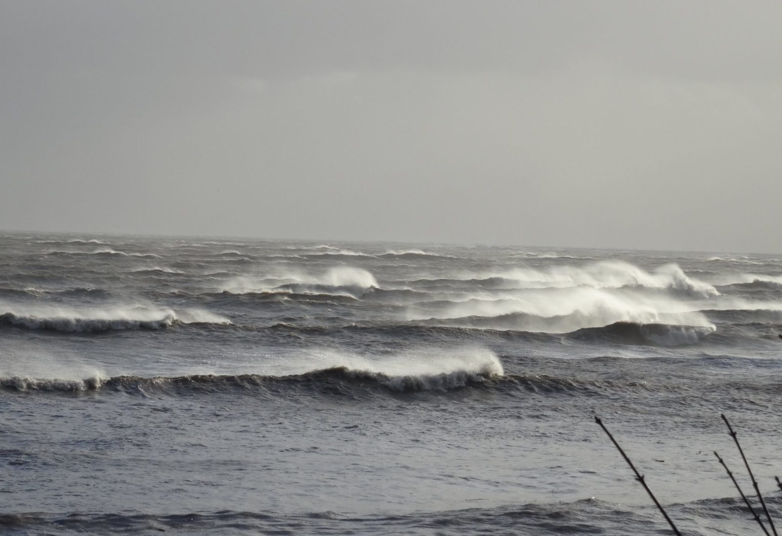 A Wild Day in Morecambe Bay