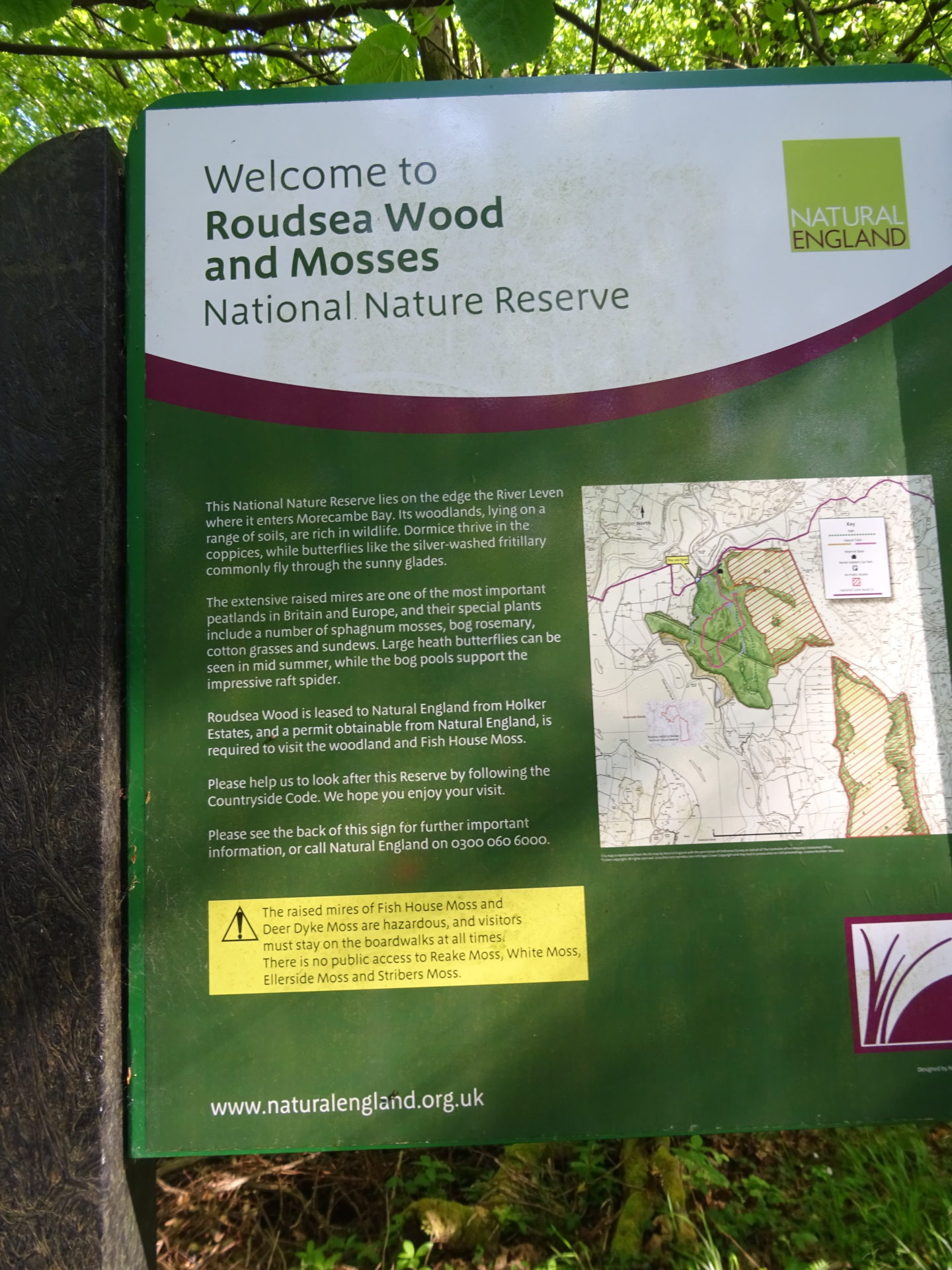 Roudsea Woods and Mosses