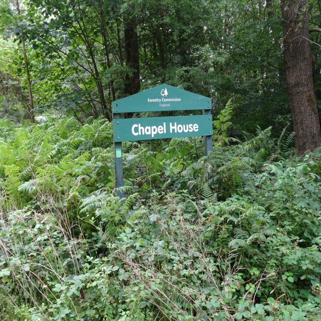 Chapel House Woods