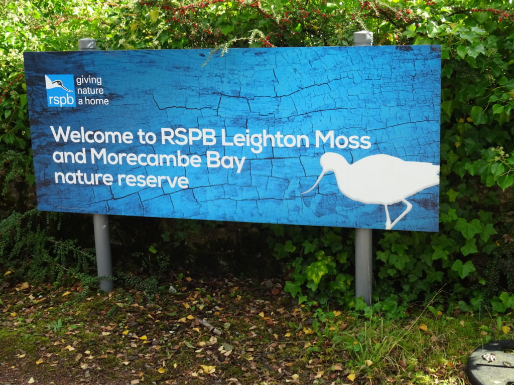 Leighton Moss Nature Reserve