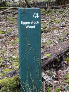 Eggerslack Woods