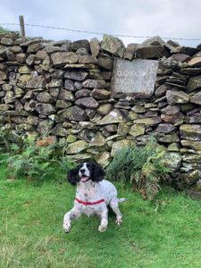 Cumbria Dog-Friendly Holiday Cottage