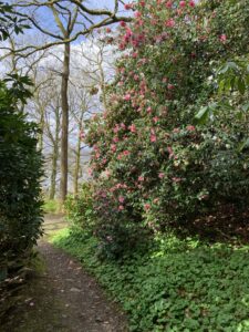 Stagshaw Gardens - A Hidden Gem
