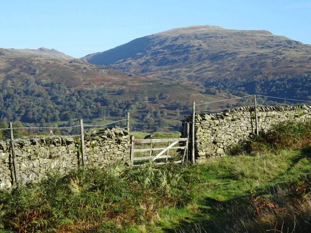 Loughrigg Fell: A Lakeland hike with stunning views